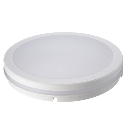 LED Ceiling light