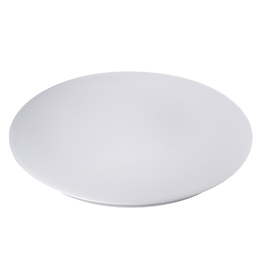 LED Ceiling Light