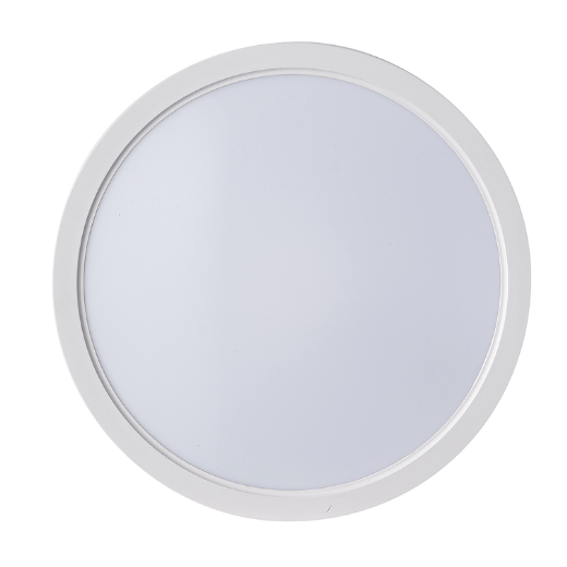 LED Ceiling Light