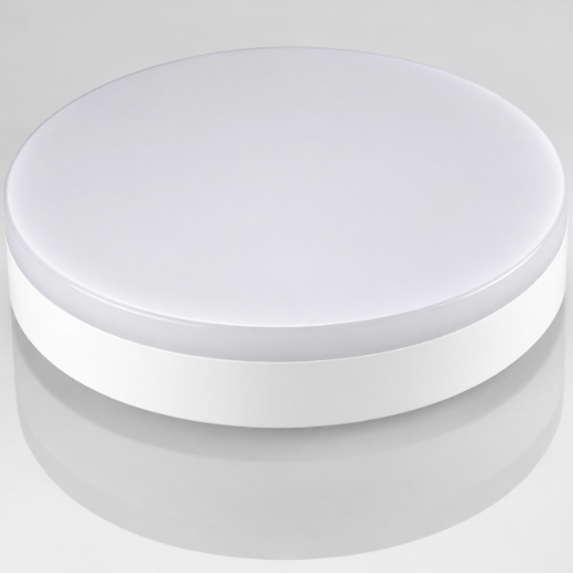 LED Celing light