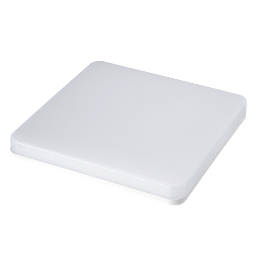 LED Ceiling Light