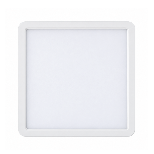 LED Ceiling Light